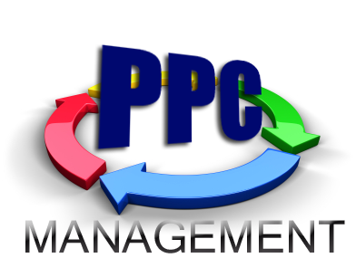 PPC Management Services For ECommerce Website